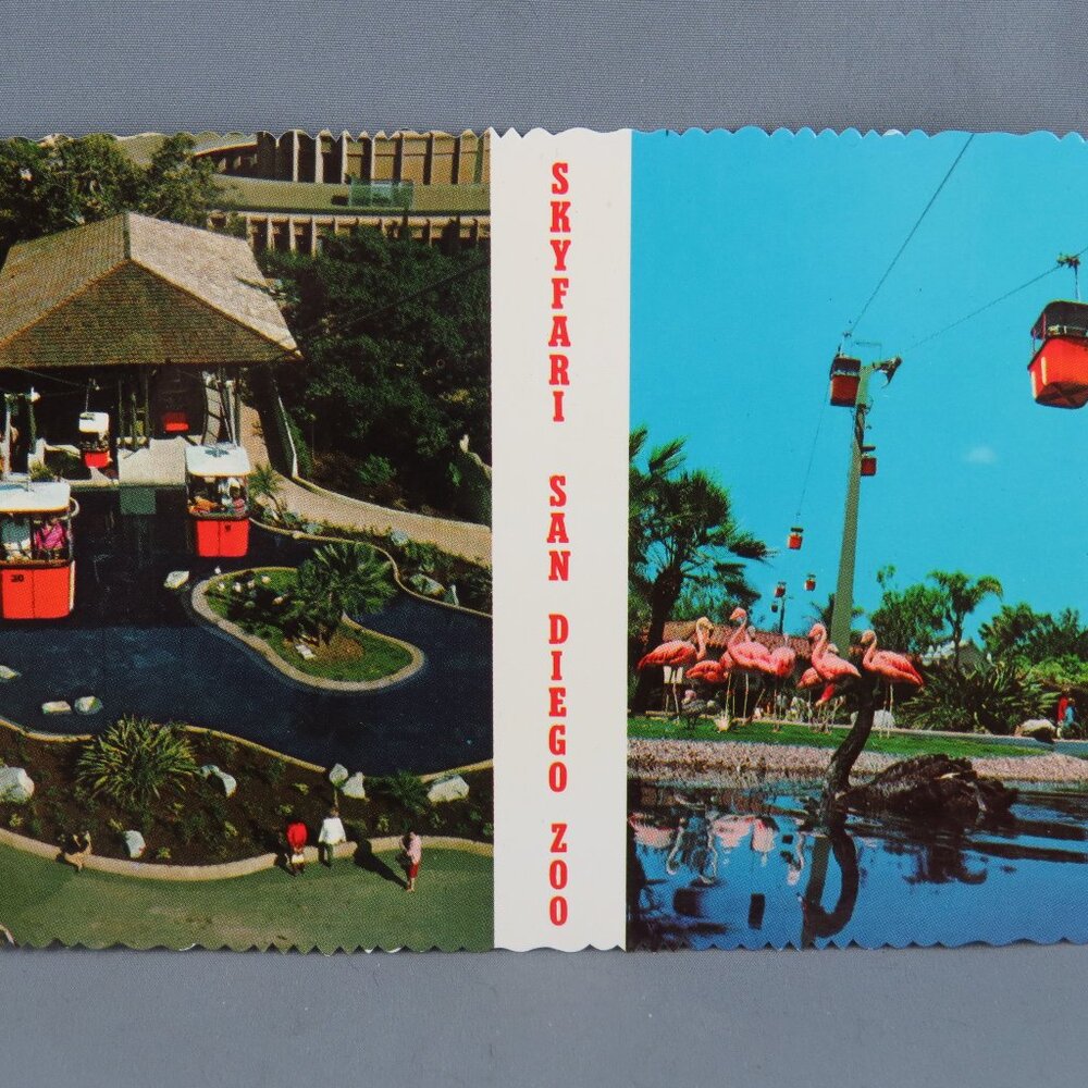 Vintage Postcard - Skyfari San Diego Zoo - Internaltional